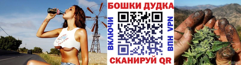 Бошки Шишки план  Ессентукская 